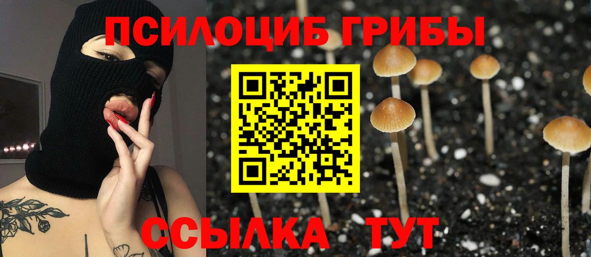 Оренбург  Псилоцибиновые грибы ЛСД  Вход с VPN 