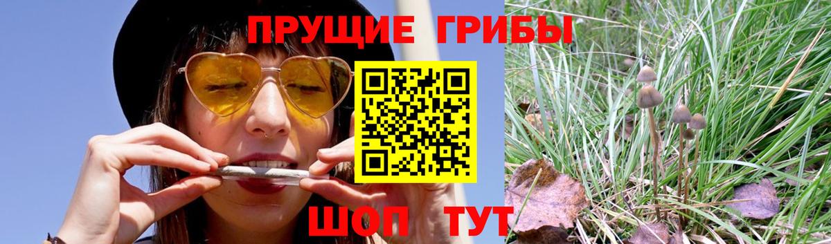 Галлюциногенные грибы прущие грибы Оренбург